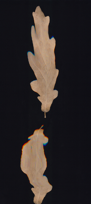 “Gravedad”. Isabel Téllez. 002