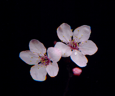 “Perfección exánime”. Isabel Téllez 004