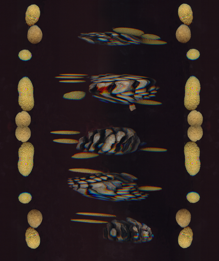 “Alud”. Isabel Téllez 005