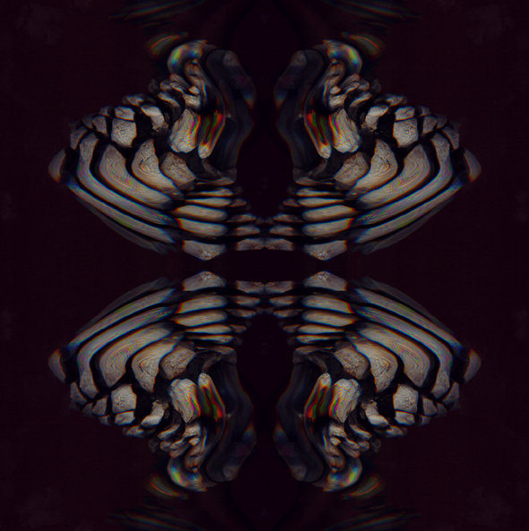 “Reflexión”. Isabel Téllez. 006