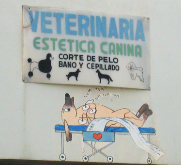 Fig. 13 El trabajo decorativo que los rotulistas realizan, para recalcar el mensaje, es casi siempre un acto de ironía, en el que encontrar algo gracioso es parte del reconocimiento de la imagen. (archivo de la autora / Mónica de la Barrera).